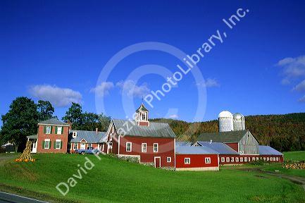 Farm scene near Jeffersonville, Vermont.