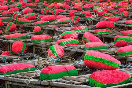 Lobster trap floats near Cape Pele, New Brunswick, Canada.