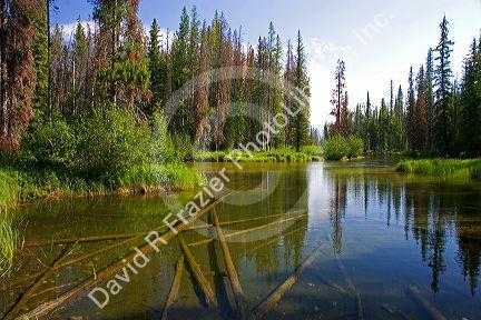 Clear waters of the outlet to Alturas Lake in the Sawtooth National Recreation area of Idaho.