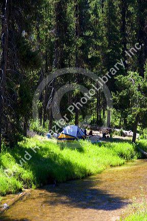 Tent camping along the South Fork of the Salmon River near Yellow Pine, Idaho.