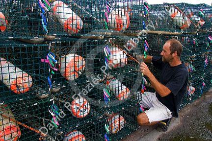 Fisherman prepares Lobster traps at Shediac, New Brunswick, Canada.