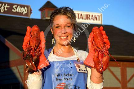 Woman holding cooked lobster at Halls Harbor, Nova Scotia, Canada. MR