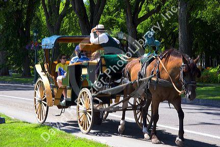 Horse and carriage at Quebec City, Quebec, Canada.