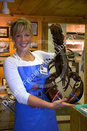 Woman holding a large lobster at Halls Harbor, Nova Scotia, Canada. MR