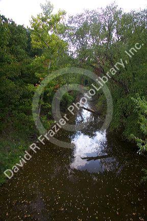 Upper Cedar Creek in Columbia, Missouri.