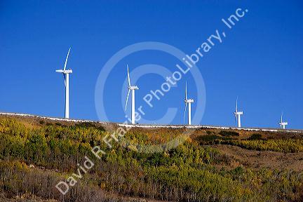 Windmill electricity generators near Arlington, Wyoming.