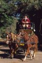 A man dressed in costume drives a horse and carriage in colonial Williamsburg, Virginia.