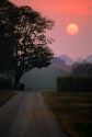 Sun setting in Lancaster County, Pennsylvania with country road and corn field.