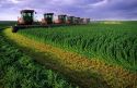 Seven swathers harvest alfalfa hay in Grandview, Idaho.