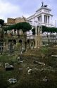 The Forum in Rome, Italy.