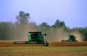 Soybean harvest in Indiana.