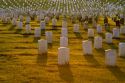 Arlington National Cemetery, Virginia.