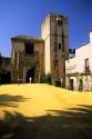 Alcazar of Seville, Spain.
