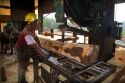 Sawyer cutting logs at a lumber mill in Argentina.