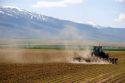 Cultivating sugar beets near Burley, Idaho.