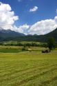 A tractor harvesting a hay field on a farm at Imst, Austria.