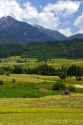 A tractor harvesting a hay field on a farm at Imst, Austria.