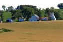 A corn field and farm in Iowa.