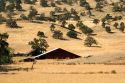 An old farm and barn near Williams, California.
