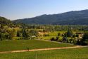 Valley with vineyards in Calistoga, California.