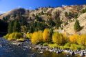 Autumn on the Payette River in Idaho.