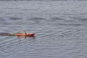 Boating on the Amazon River at Manaus, Brazil.