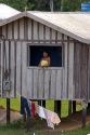Brazilian girl looking out the window of her house in the Amazon jungle near Manaus, Brazil.