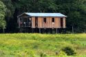 A house on stilts in the Amazon jungle near Manaus, Brazil.
