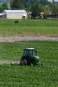 Cultivating corn near Sunnyside, Washington.