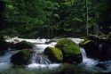 Deception Falls in the Snoqualmie National Forest, Washington.