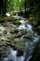 Deception Falls in the Snoqualmie National Forest, Washington.
