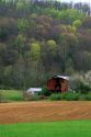 Springtime on a farm in rural West Virginia.