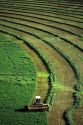 Aerial view of a hay harvest in Grandview, Idaho.