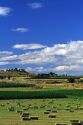 Hay farm scene in southwest Idaho.