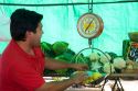 Man weighing lemons on a spring scale at an outdoor produce market in Valparaiso, Chile.