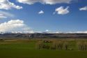 Farm near King Hill, Idaho.