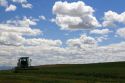 Swather harvesting alfalfa hay in Canyon County, Idaho.