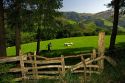Basque shepherd with dogs and sheep in the Baztan Valley of the Navarre region of northern Spain.