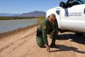 United States Border Patrol agent checking for footprints at the U.S./Mexico border along the All American Canal near Calexico, California.