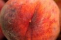 Peach.