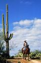 Cowboy on horseback in Arizona, USA.