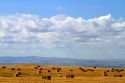Bailing wheat straw near Jerome, Idaho, USA.
