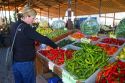 Woman shopping for a variety of peppers at an outdoor farmers' market in Fruitland, Idaho, USA. MR