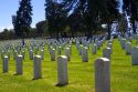 Fort Rosecrans National Cemetery at Point Loma, San Diego, California, USA.