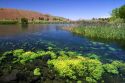 The Snake River at Thousand Springs State Park in the Hagerman Valley, Idaho, USA.