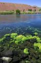 The Snake River at Thousand Springs State Park in the Hagerman Valley, Idaho, USA.