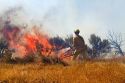Wildfire south of the city of Boise, Idaho, USA.