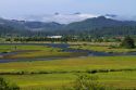 Coastal fog coming over the mountains near Nehalem in Tillamook County, Oregon, USA.