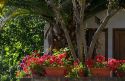 Flower pots at Puente La Reina a Basque town along the Way of St. James pilgrimage route, Navarra, Spain.