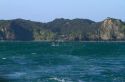 Dolphin in the Bay of Islands, North Island, New Zealand.